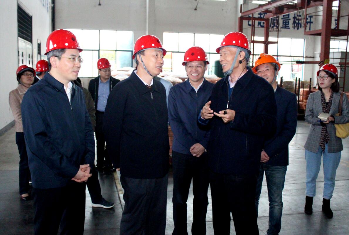 江蘇省副省長(zhǎng)馬秋林一行來上上電纜調(diào)研