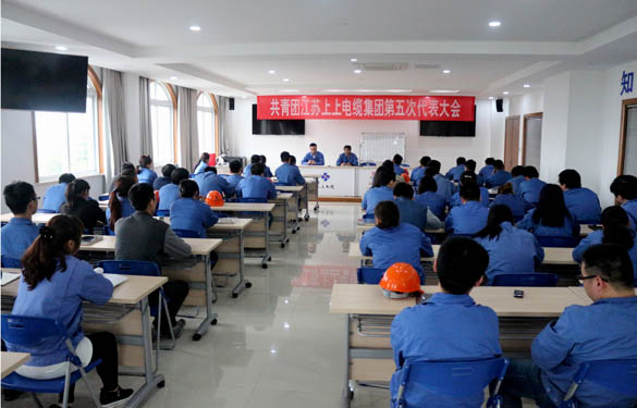 2016年4月20日，共青團江蘇上上電纜集團第五次代表大會召開