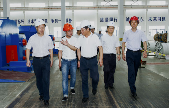 金壇區黨政領導來上上電纜參觀考察