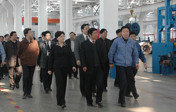 安徽省天長市黨政代表團(tuán)百余人來上上集團(tuán)參觀考察