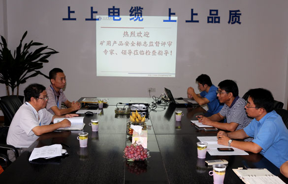 江蘇上上電纜集團(tuán)順利通過安標(biāo)現(xiàn)場監(jiān)督評審