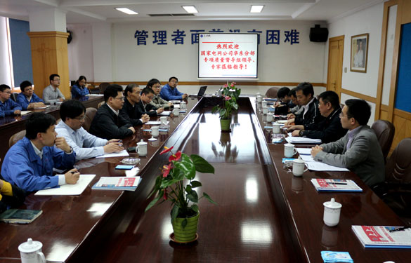 上上集團順利通過國家電網(wǎng)公司專項質量督導組督查