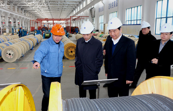 12月3日，無錫市錫山區黨政代表團一行來上上電纜參觀考察