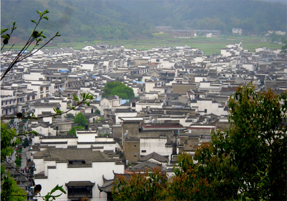 1461659009804310Oblk.jpg DSCI1495-2.jpg